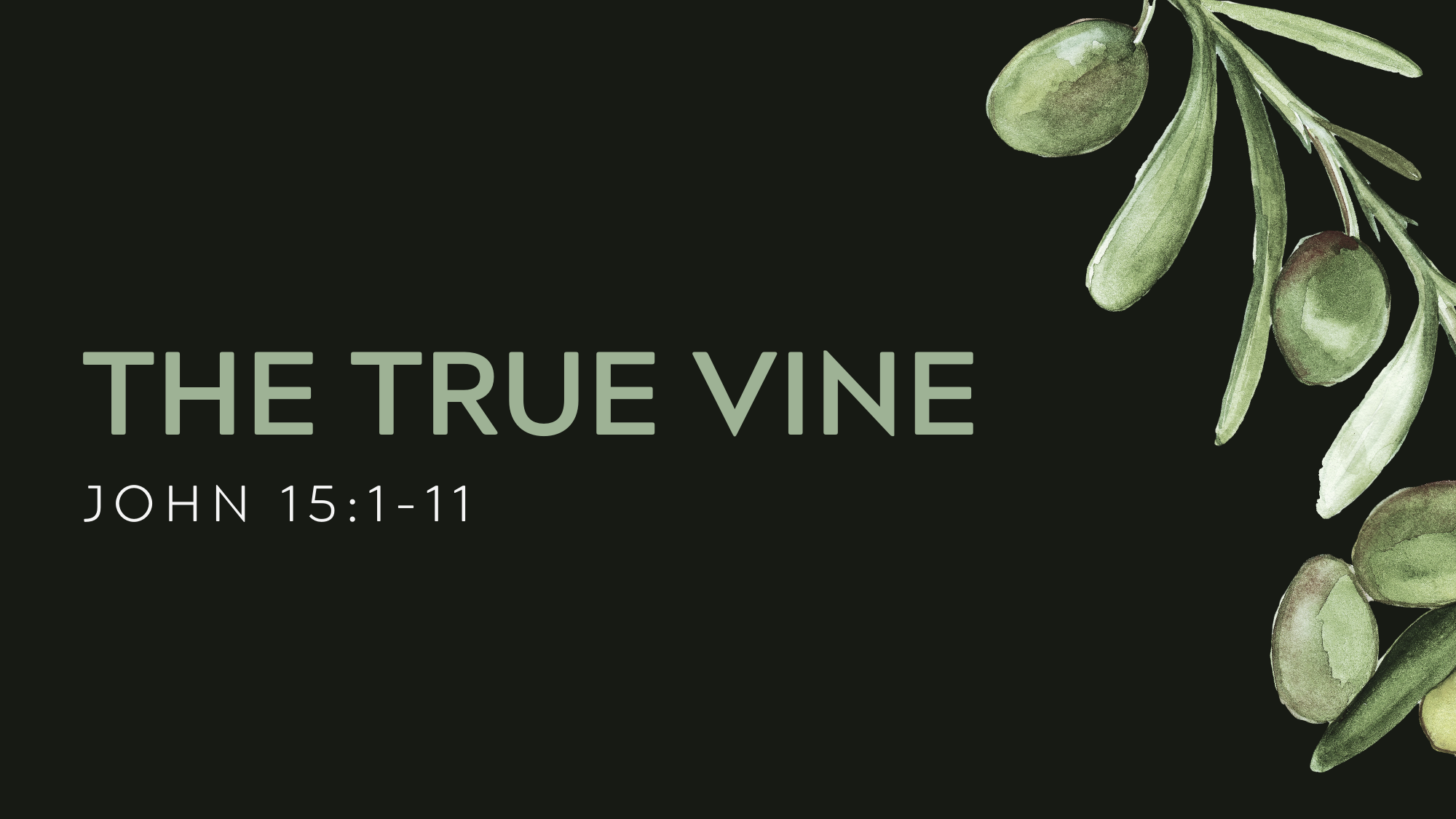 The True Vine